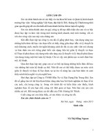 Thực trạng và các giải pháp nâng cao hiệu quả quản lý hàng tồn kho tại Công ty TNHH đầu tư và xây dựng Địa trung Hải