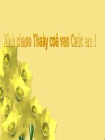 Tuần 27. Thao tác lập luận bình luận