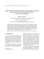 DSpace at VNU: Luật tục bảo vệ tài nguyên thiên nhiên và môi trường ở Việt Nam (Qua Luật tục của một số dân tộc thiểu số ở Tây Bắc và Tây Nguyên)