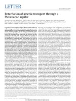 DSpace at VNU: Retardation of arsenic transport through a Pleistocene aquifer