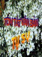 Tuần 13. Tóm tắt văn bản tự sự (dựa theo nhân vật chính)