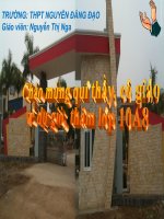 Tuần 14. Đọc Tiểu Thanh kí (Độc Tiểu Thanh kí)