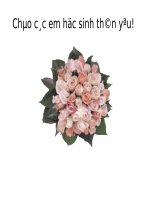 Tuần 6. Đọc thêm : Chử Đồng Tử