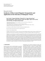 DSpace at VNU: Synthesis of silica-coated magnetic nanoparticles and application in the detection of pathogenic viruses