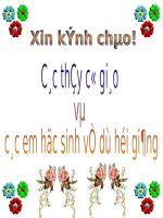 Tuần 31. Phong cách ngôn ngữ hành chính