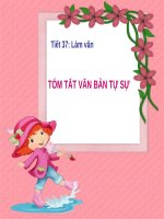 Tuần 13. Tóm tắt văn bản tự sự (dựa theo nhân vật chính)