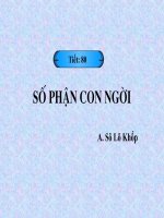 Tuần 27. Số phận con người