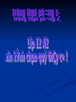 Tuần 11. Thực hành một số phép tu từ ngữ âm