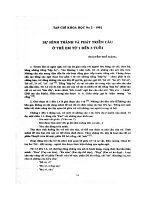 DSpace at VNU: Sự hình thành và phát triển câu ở trẻ em từ 1 đến 3 tuổi