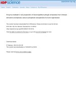 DSpace at VNU: Enzyme-mediated in situ preparation of biocompatible hydrogel composites from chitosan derivative and biphasic calcium phosphate nanoparticles for bone regeneration