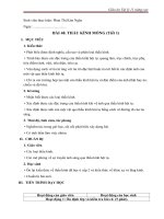 Bài 29 (11)  phan thị kim ngân 