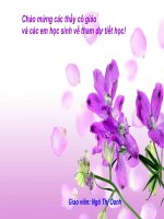 Tuần 23. Chiều tối (Mộ)