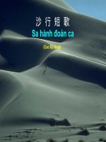 Tuần 4. Bài ca ngắn đi trên bãi cát (Sa hành đoản ca)
