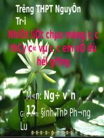 Tuần 22. Đọc thêm: Bắt sấu rừng U Minh Hạ