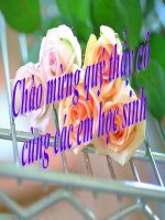 Bài 29. Rô-bin-xơn ngoài đảo hoang