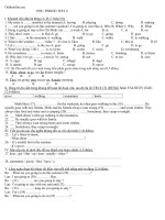 de kiem tra 1 tiet tieng anh 10 hay 85404