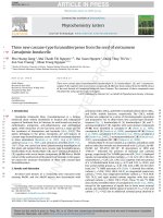 DSpace at VNU: Three new cassane-type furanoditerpenes from the seed of Vietnamese Caesalpinia bonducella