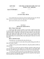 Bài giảng điện tử - Nguyen Khac Kiem Luat20so2055 ATTP