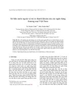 Foreign Ownership and Liquidity Risk of Commercial Banks in Vietnam
