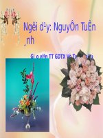 Tuần 32. Các thao tác nghị luận