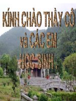 Tuần 13. Cảnh ngày hè (Bảo kính cảnh giới)