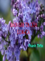 Tuần 14. Đàn ghi ta của Lorca