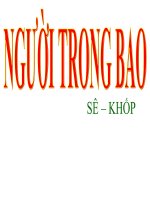 Tuần 27. Người trong bao