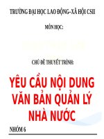 YÊU cầu nội DUNG văn bản QUẢN lý NHÀ nước 