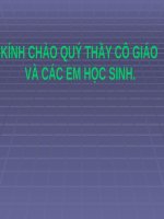 Tuần 15. Đọc thêm: Vi hành