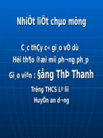 Bài 32. Tổng kết phần Tập làm văn