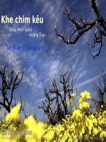 Tuần 17. Đọc thêm: Khe chim kêu (Điểu minh giản)