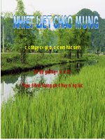 Tuần 26. Tôi yêu em