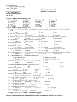de kiem tra hkii tieng anh 11 co ban 92050