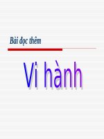 Tuần 15. Đọc thêm: Vi hành