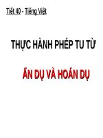 Tuần 15. Thực hành phép tu từ ẩn dụ và hoán dụ
