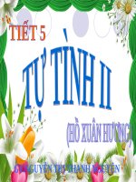 Tuần 2. Tự tình (bài II)