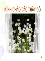 Tuần 7. Miêu tả và biểu cảm trong bài văn tự sự