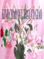 Tuần 14. Đọc Tiểu Thanh kí (Độc Tiểu Thanh kí)