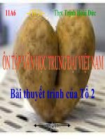 Tuần 8. Ôn tập văn học trung đại Việt Nam