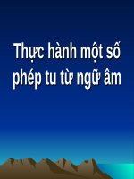 Tuần 11. Thực hành một số phép tu từ ngữ âm