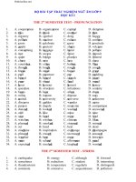 bai tap trac nghiem ngu am 9 hkii 95787