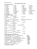 de thi hsg vong huyen tieng anh khoi 6 77859