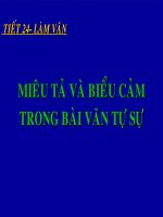 Tuần 7. Miêu tả và biểu cảm trong bài văn tự sự