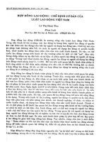 DSpace at VNU: Hợp đồng lao động - chế định cơ bản của Luật lao động Việt Nam