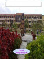 Tuần 28. Diễn đạt trong văn nghị luận