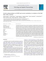 DSpace at VNU: Genetic polymorphisms in AS3MT and arsenic metabolism in residents of the Red River Delta, Vietnam