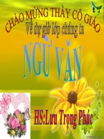 Bài 29. Luyện tập đưa các yếu tố tự sự và miêu tả vào bài văn nghị luận