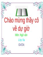 Bài 31. Văn bản tường trình