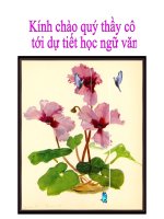 Bài 12. Luyện tập viết đoạn văn tự sự có sử dụng yếu tố nghị luận