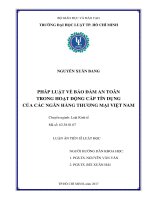 Pháp luật về bảo đảm an toàn trong hoạt động cấp tín dụng của các ngân hàng thương mại Việt Namo